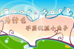 07为什么不能乱抓小虫子