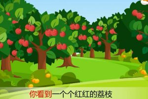 64夏天为什么不要吃太多荔枝