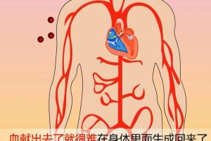 89为什么献血不会影响身体健康