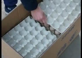 360枚纸箱如何放鸡蛋方法（新）