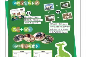 【主题墙】够用一整年的幼儿园主题墙边框设计（小、中、大班齐全）