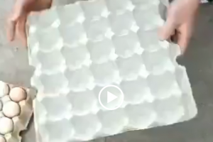 鸡蛋托盘的使用方法