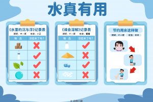 环创奇妙的水