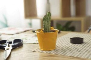 【纸巾手工】幼儿园手工DIY纸巾手工，简单易学，漂亮极了!