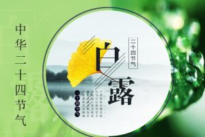 白露—教案➕PPT文档免费下载