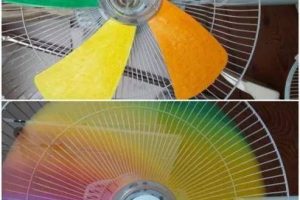 环创 | 幼儿园废旧材料先别着急扔，会有意外收获哟