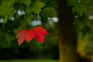 幼师们，开学后的楼道装饰做好了吗？