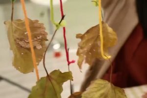 树叶类｜树叶风铃