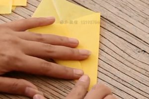 折纸类  冬日星星【视频教程】