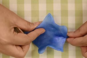 树叶类｜蜂蜡树叶