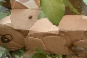 奔跑兔子来咯！教你用废纸板 马达 DIY制作可爱的小兔子