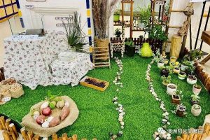 简阳市诺亚舟幼儿园主题环创