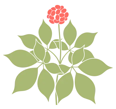 【图书配置】幼儿园如何配置与使用图画书？